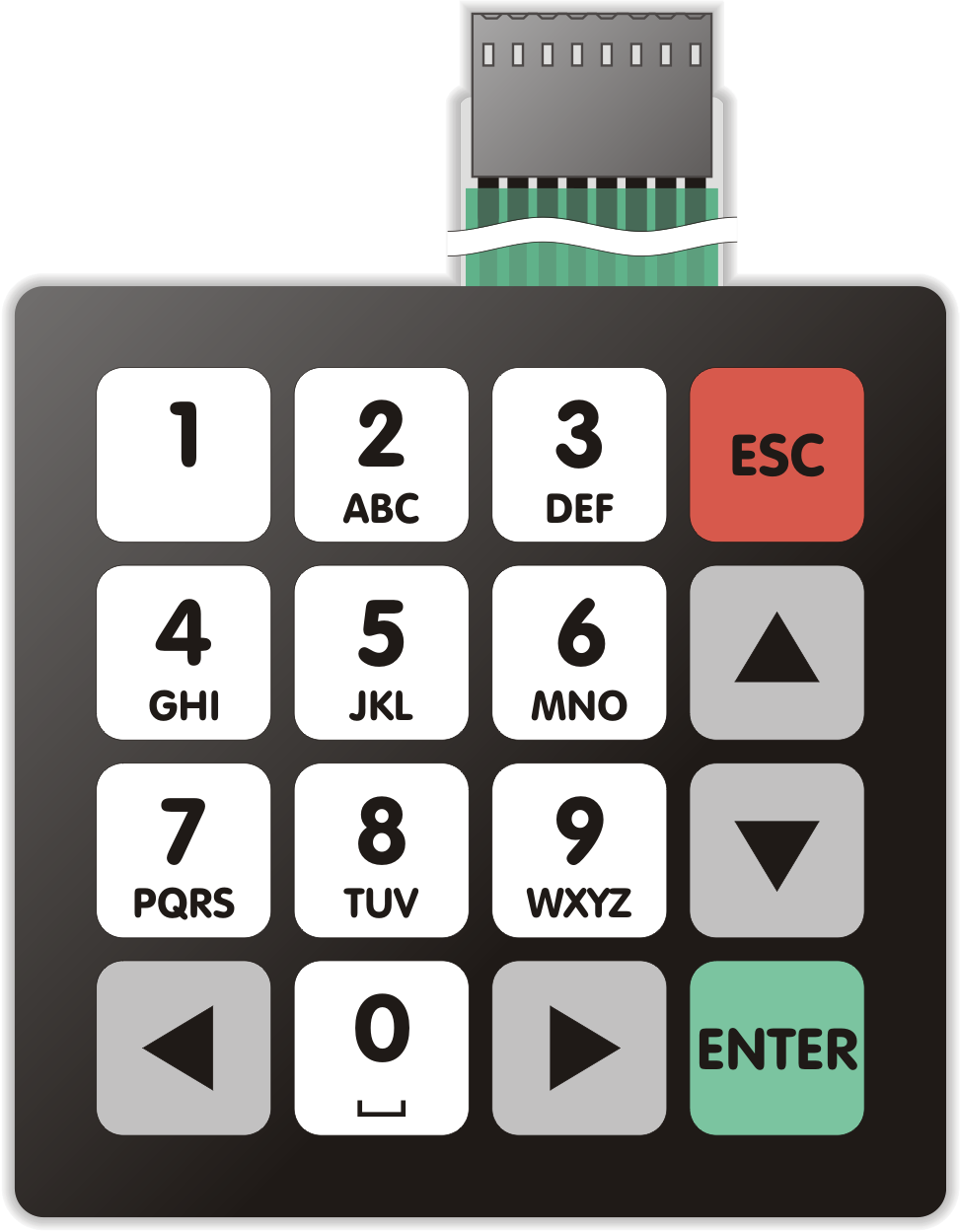 QWERTY S.L. - teclado numérico estándar  #5 ( teclado de membrana)